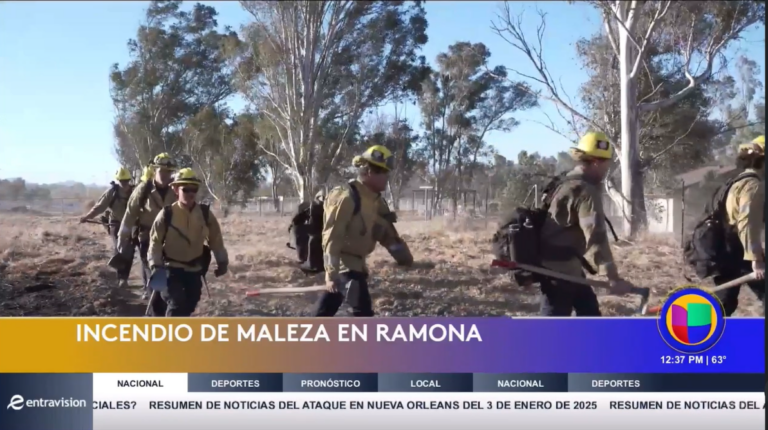 Bomberos Logran Contener el Incendio Conocido como Pamo Fire en Ramona