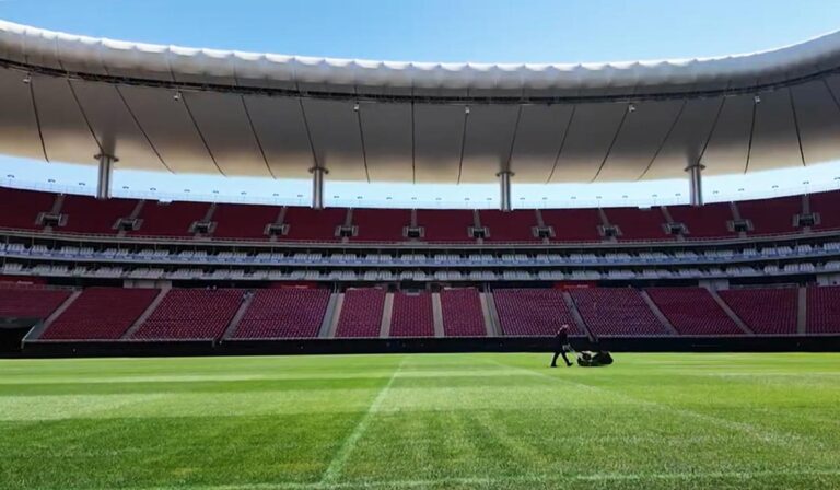 Especial: “El recinto mundialista”