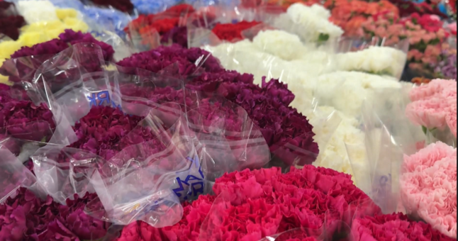 Día de la Madre: Aranceles aumentan el precio de las flores