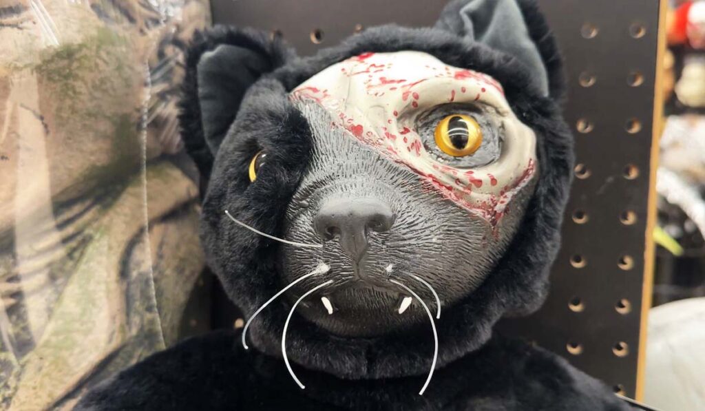 Precios Halloween Elevados Y Seguridad: Lo Que Debes Saber En San Diego - Noticias Notivalle