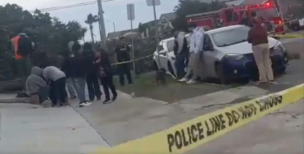 Hombre muere tras caída de árbol en City Heights