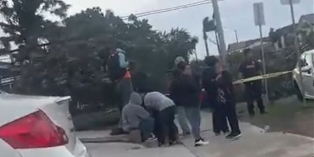 Hombre Muere tras Caída de Árbol en City Heights: Investigación en Curso