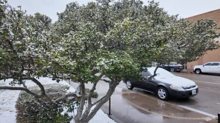 Nieve en Permian Basin: Autoridades advierten sobre precauciones necesarias