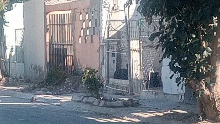 Quintas los Nogales en Torreón: Alarmantes Denuncias sobre Perros Agresivos y Abandono de Espacios Públicos