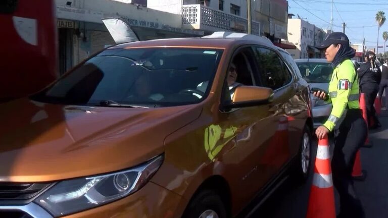 Descubre el Menú CURVA para Conductores Detenidos en Año Nuevo 2026 en Guadalajara
