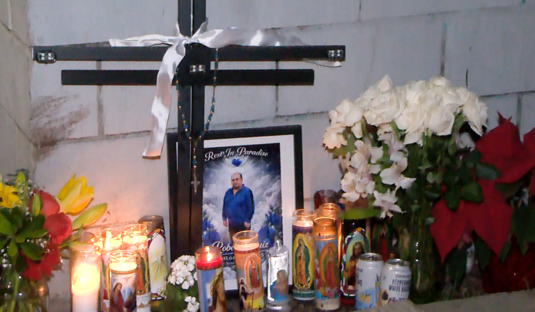 Familia demanda a la ciudad de San Diego tras muerte por árbol caído