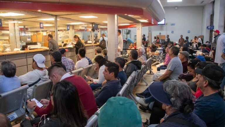 Todo lo que necesitas saber sobre el refrendo Jalisco 2026: dónde y cómo pagar