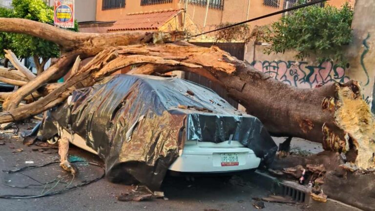 Sismo en San Marcos, Guerrero: Más de 30 Inmuebles Afectados en CdMx