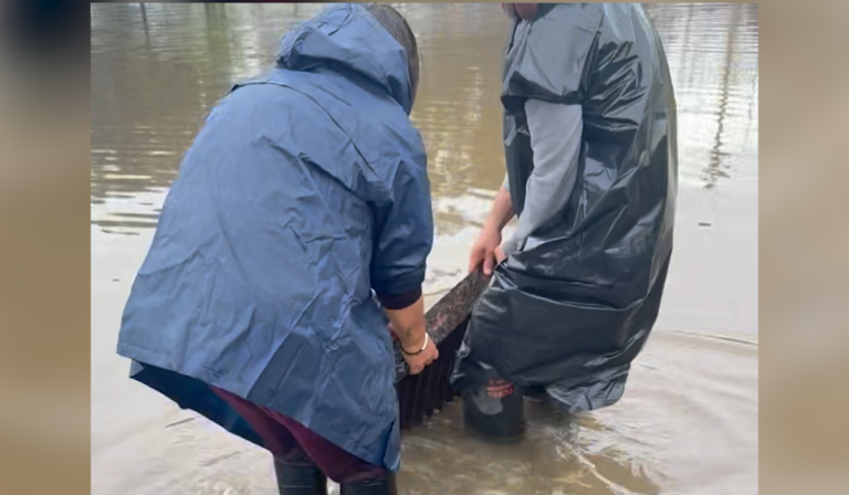 Residentes de Southcrest exigen soluciones ante inundaciones