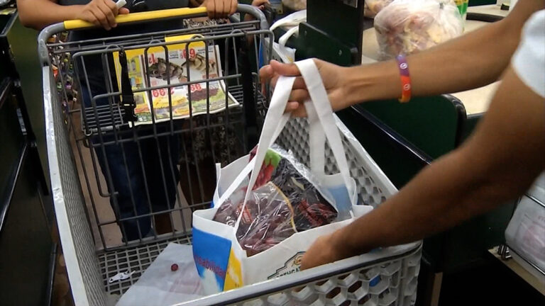 Nueva ley en California elimina las bolsas de plástico en tiendas