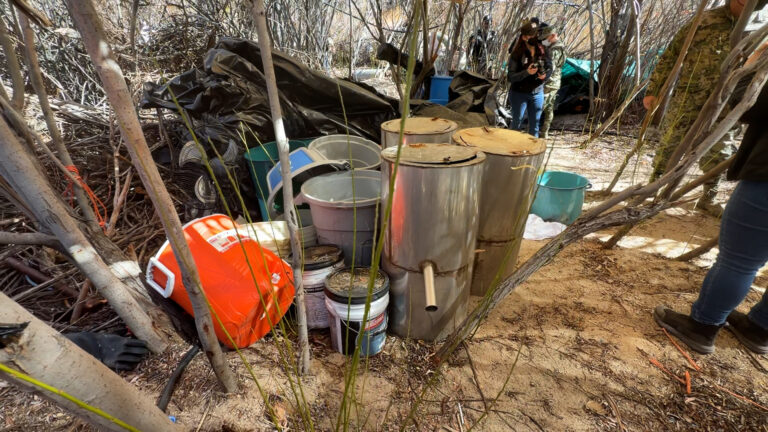 Desmantelan megalaboratorio de metanfetamina oculto en la Sierra de San Pedro Mártir