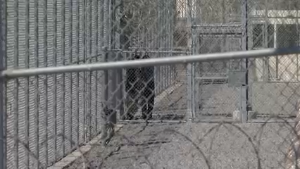 Condado inspecciona centro de detención de Otay Mesa tras denuncias