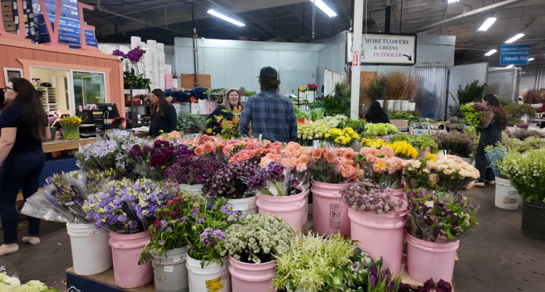 ¿Qué flores se pueden cruzar de Tijuana a Estados Unidos? Guía rápida para San Valentín