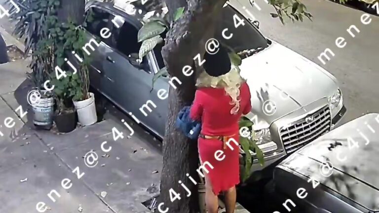 Robo peculiar: Hombre disfrazado de mujer con peluca rubia para sustraer una planta