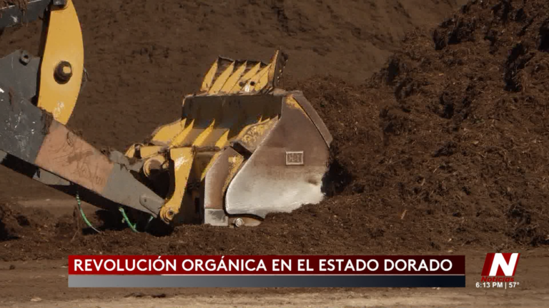 REPORTAJE ESPECIAL: “Revolución Orgánica en el Estado Dorado”