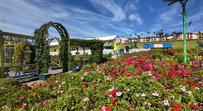 80 millones de flores transforman Carlsbad en el destino más colorido de la primavera