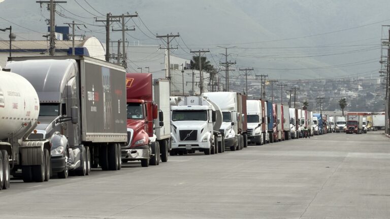 Inglés obligatorio: riesgo creciente para licencias y visas de transportistas en la frontera