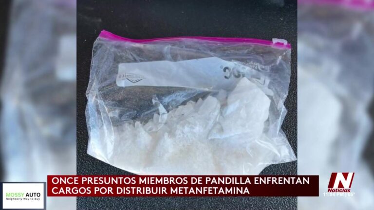 Operativo América Libre De Fentanilo