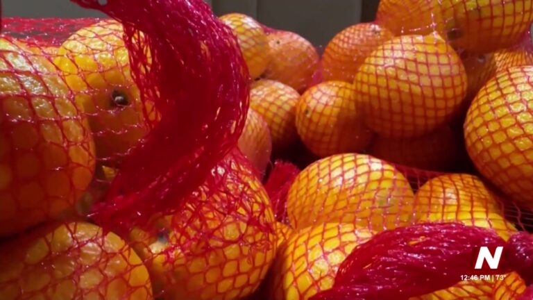 Reducción De Beneficios De CalFresh En San Diego