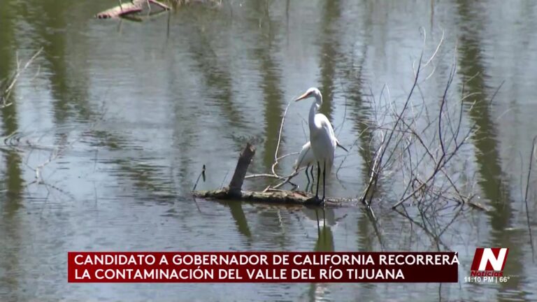 Contaminación En El Valle Del Río Tijuana Alarma A Candidatos Políticos