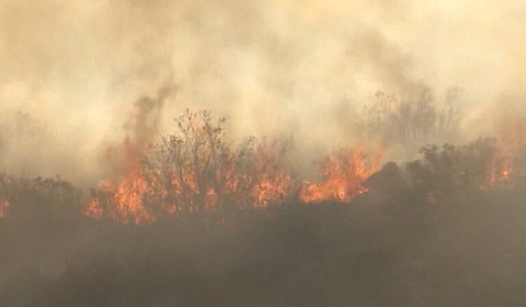 Riesgo de incendios aumenta en el condado por condiciones secas y calor