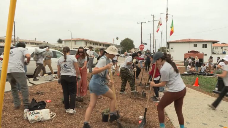 California abre oportunidades de servicio remunerado para residentes de San Diego