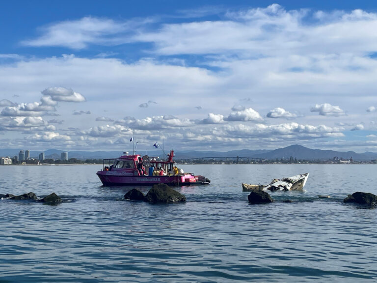 Retiran más de 122 mil libras de desechos marinos en San Diego Bay para proteger el ecosistema