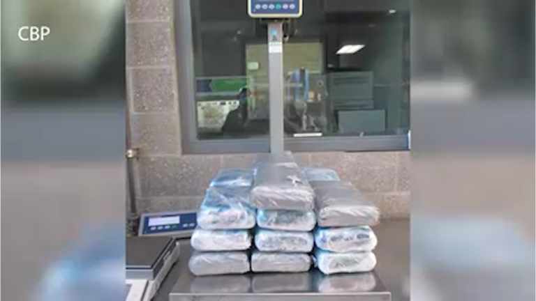 CBP incauta más de 1.1 millones de dólares en cocaína en el puerto de entrada de San Ysidro Port of Entry