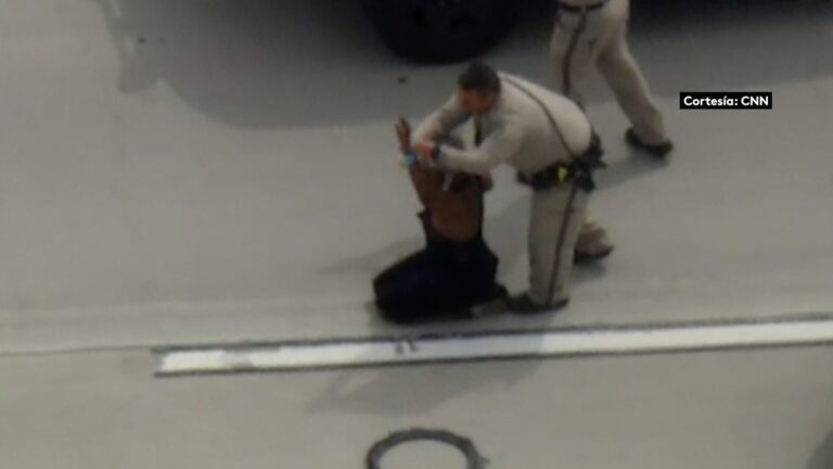 Persecución en autopista de California termina con mujer detenida en camión robado