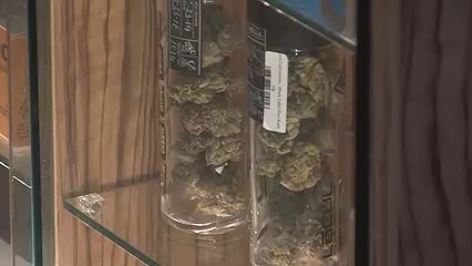 California anula más de 215 mil condenas por cannabis tras 10 años de legalización