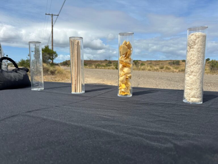 San Diego celebra el Día de la Tierra con éxito del programa de reciclaje de colchones