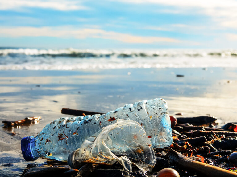 Alerta sanitaria por contaminación obliga a cierres y advertencias en playas de San Diego County