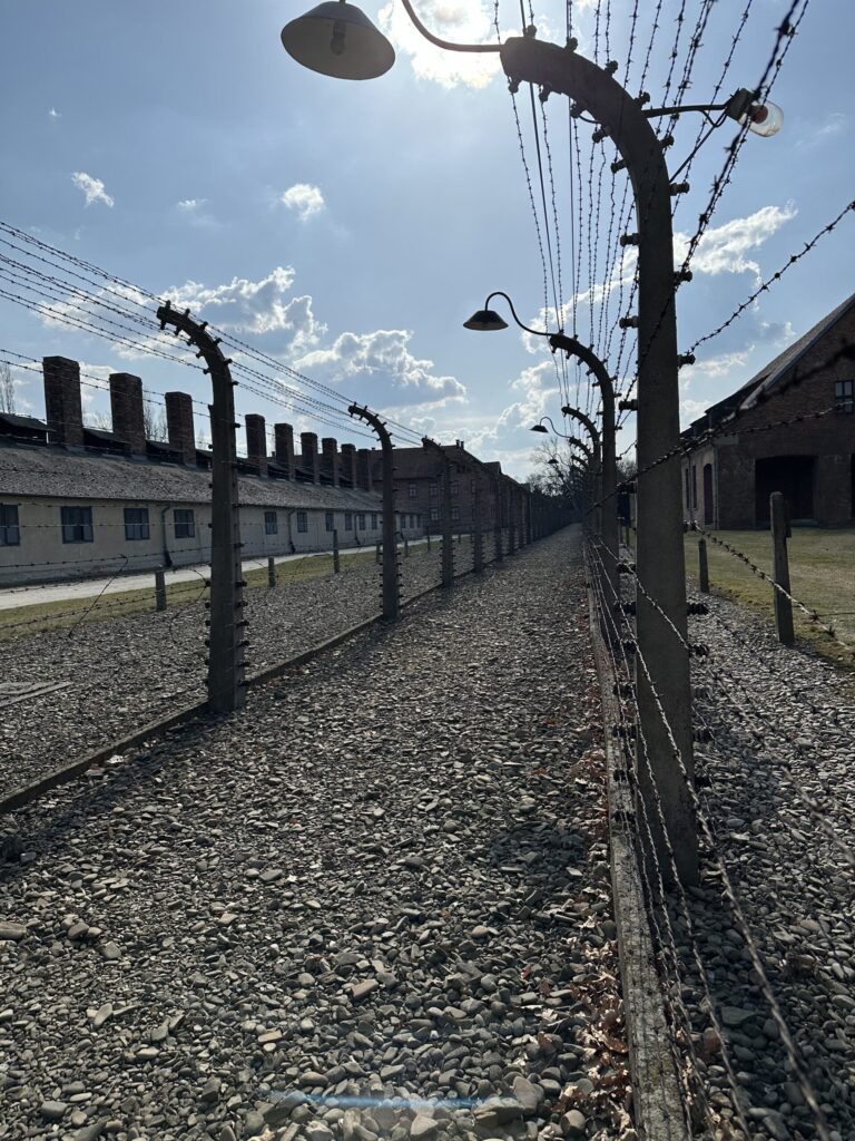 Las dolorosas huellas de la Segunda Guerra Mundial que perduran 80 años después