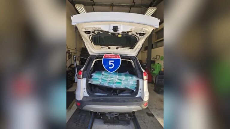 Decomisan cargamento millonario de cocaína en San Clemente
