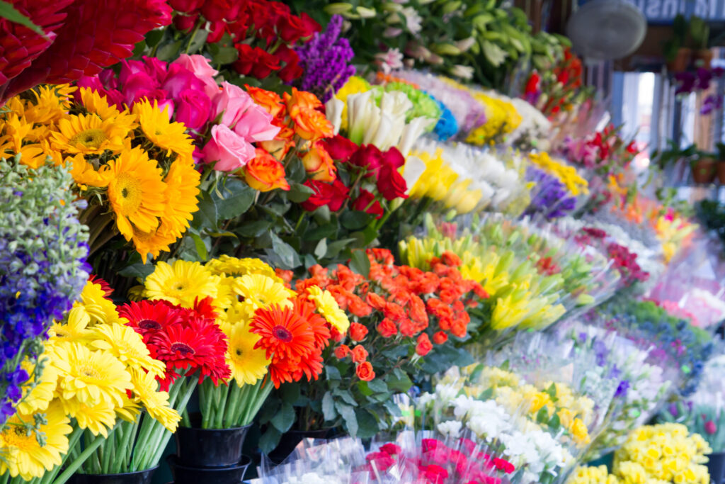 CBP recuerda declarar flores y plantas procedentes de México por el Día de las Madres