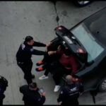Gallery Thumbnail 1