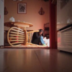 Gallery Thumbnail 1
