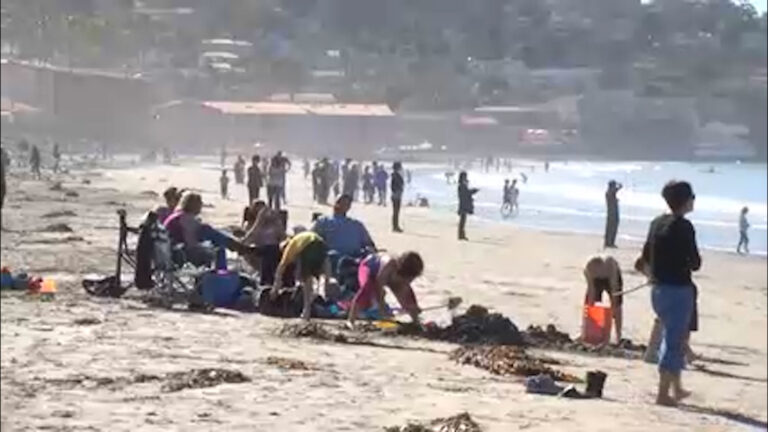 Playa Tijuana Slough entre las más contaminadas de California, según reporte ambiental