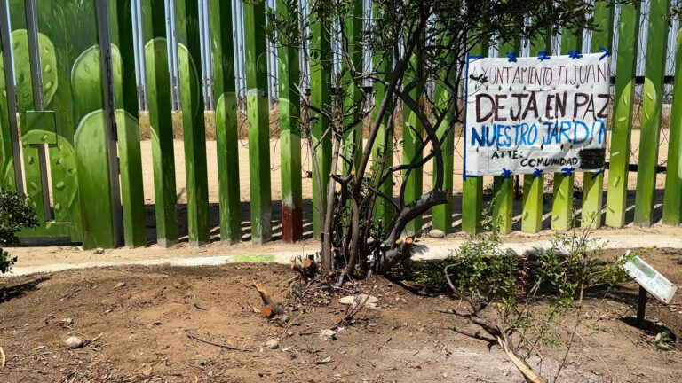 Devastan vegetación que tardó 20 años en crecer en Jardin Binacional