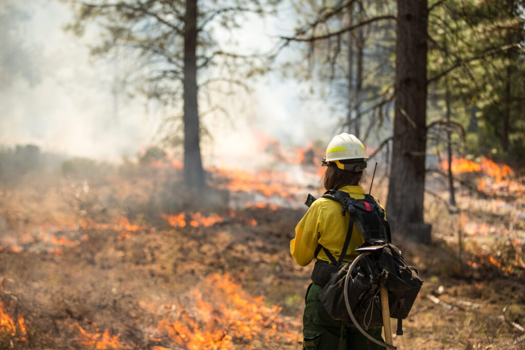 SDG&E, Qualcomm y UC San Diego lanzan sistema de IA para prevenir incendios