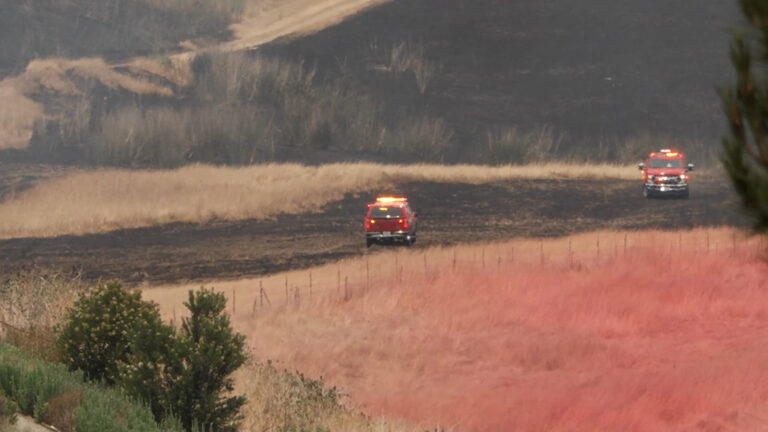 Autoridades frenan avance de incendio Noviembre y reportan 50% de contención