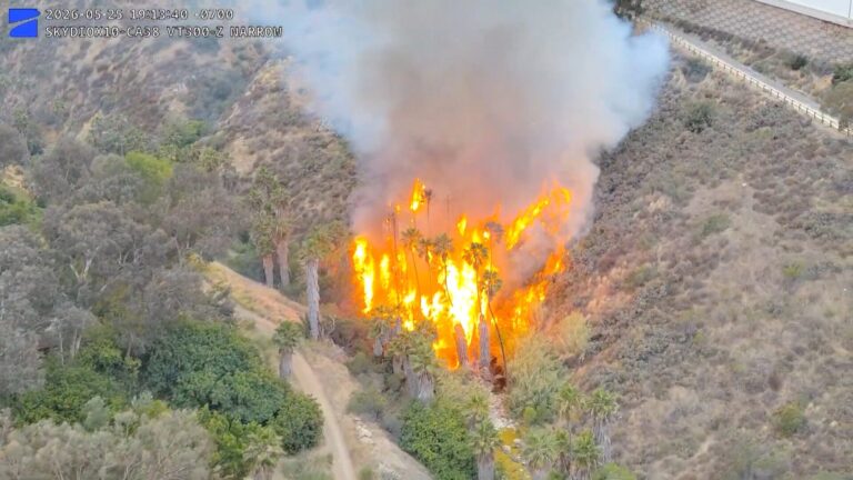 Drones del Sheriff de San Diego permiten rápida captura de sospechoso por incendio en Spring Valley