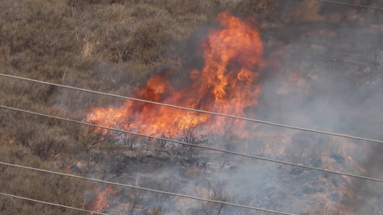 Incendios de maleza en San Diego refuerzan llamado a la prevención y preparación comunitaria