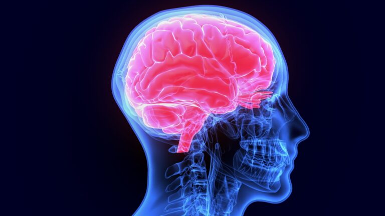 UC San Diego recibe subvenciones para investigación sobre salud cerebral en mujeres y Alzheimer