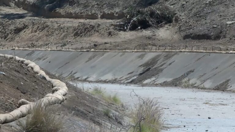 Inician proyecto para restaurar Chollas Creek y reducir el riesgo de inundaciones
