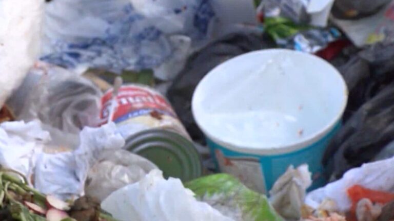 California cambia las etiquetas de los alimentos para reducir el desperdicio