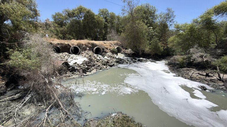 Contaminación Río Tijuana: 80 millones de dólares después, la crisis ambiental y de salud sigue creciendo