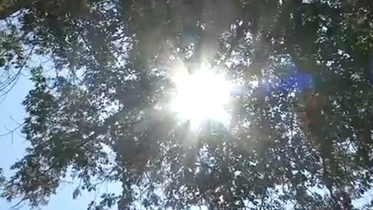 El calor extremo puede ser mortal para los niños: así puede prevenir una tragedia
