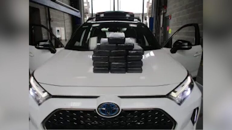 CBP decomisa cargamento de cocaína valuado en casi 775 mil dólares en la garita de San Ysidro