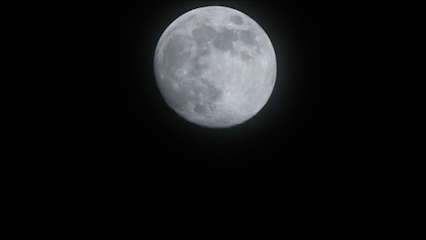 La Luna del Ciervo alcanzará su máximo esplendor este miércoles